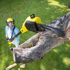 Best Organic Lawn Care Solutions  in Prescott, WI